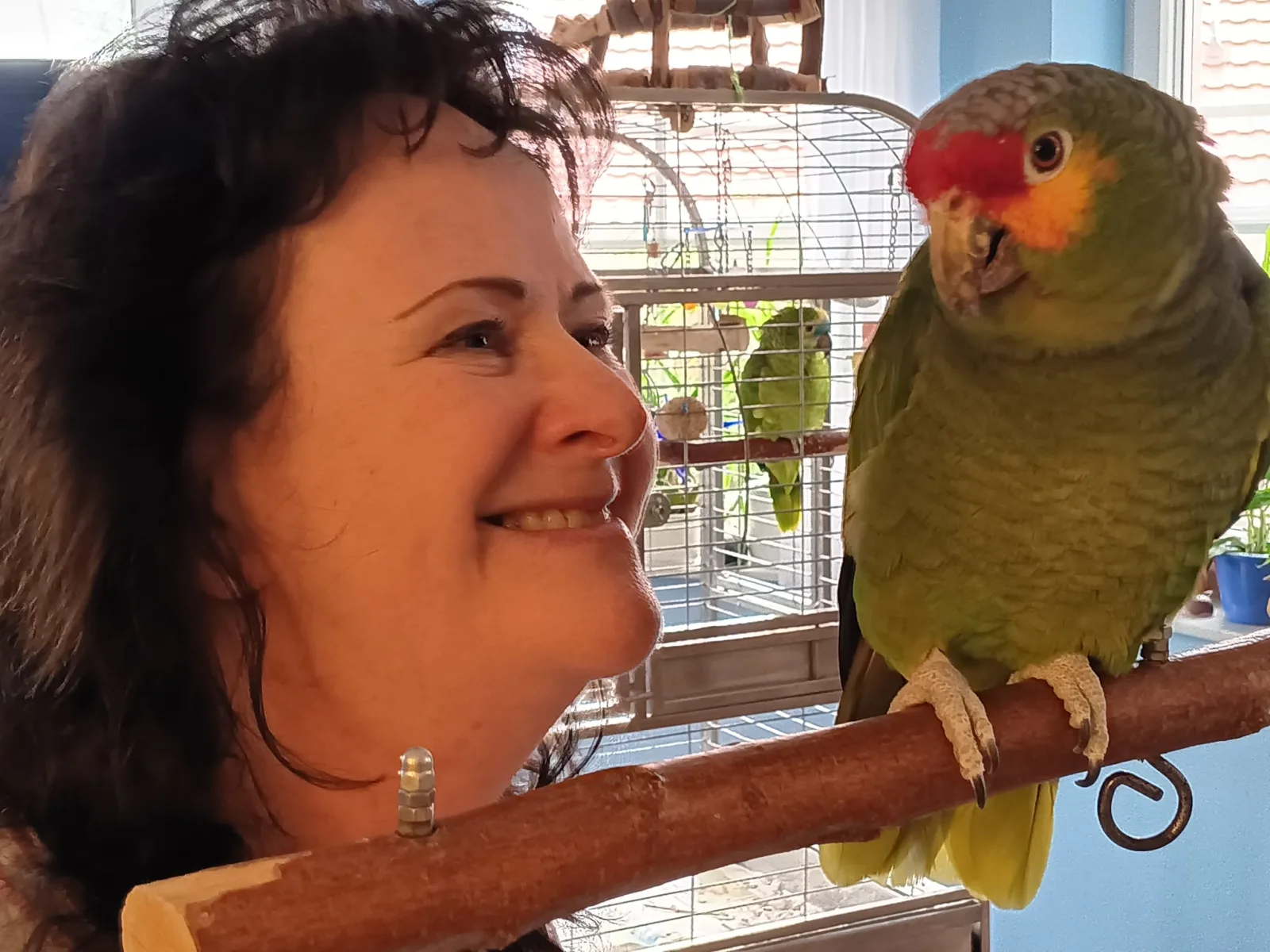 Evy in der Vogelpension