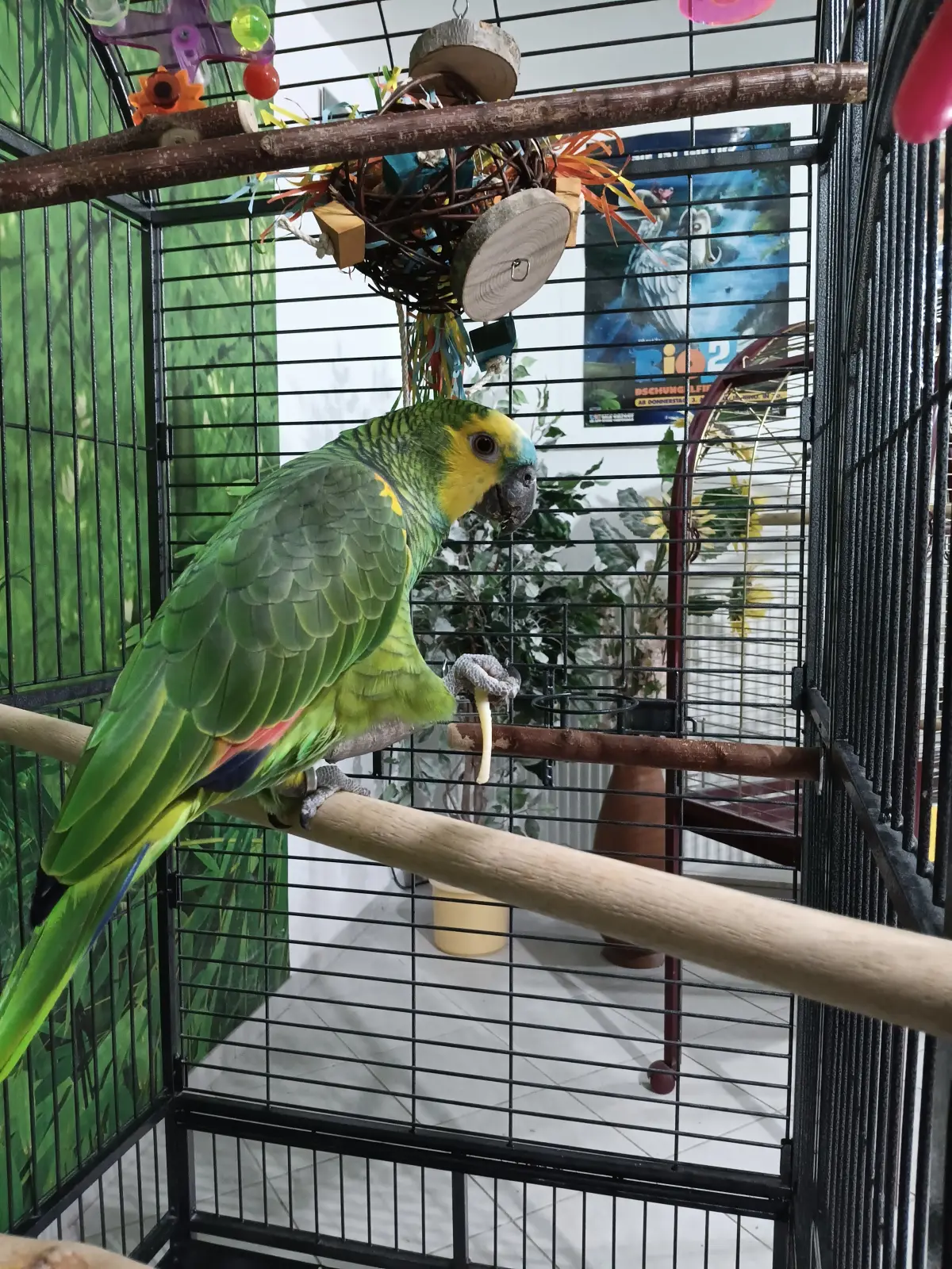 Max mit Spätzle 180126 im Vogelhaus Evy