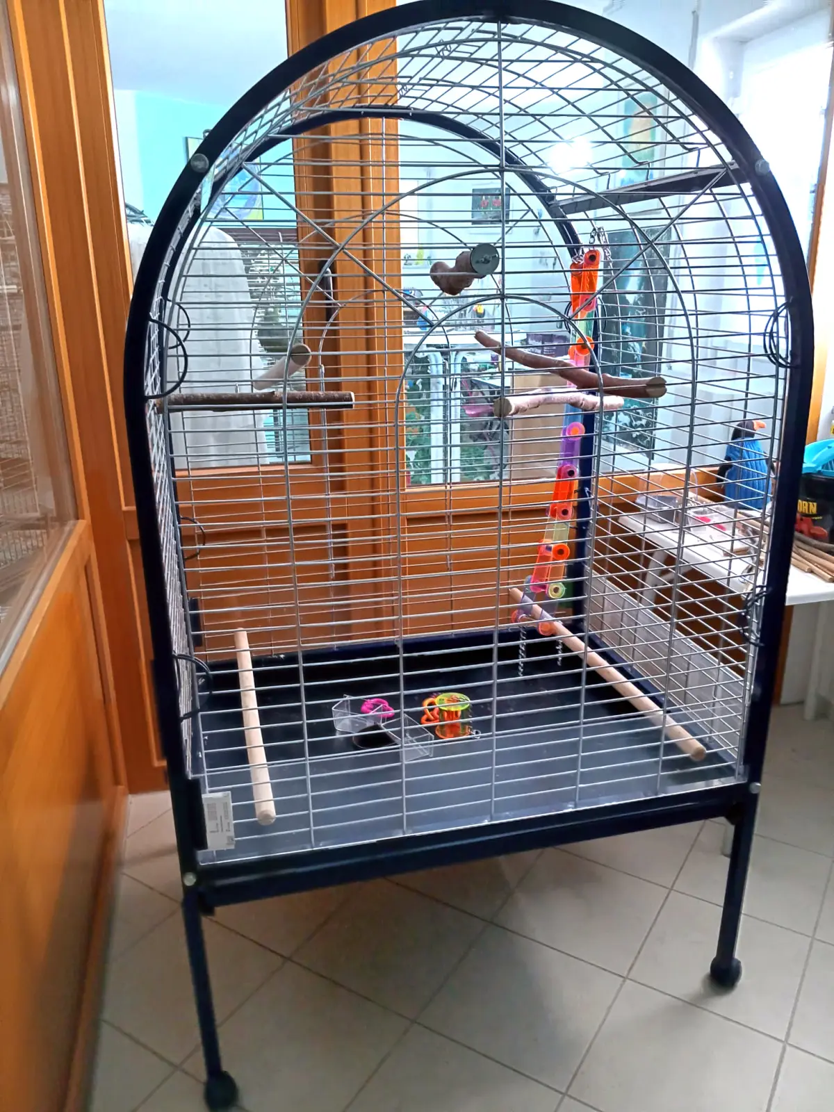 Im Papageienzimmer (10) im Vogelhaus Evy